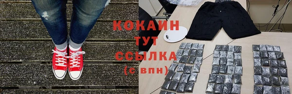 стафф Алзамай