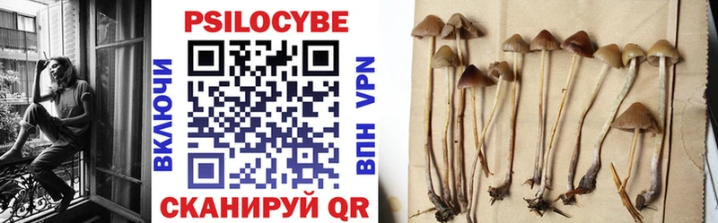 hydra как зайти  Талдом  Галлюциногенные грибы прущие грибы 
