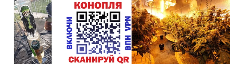 Бошки Шишки White Widow  даркнет сайт  Талдом 